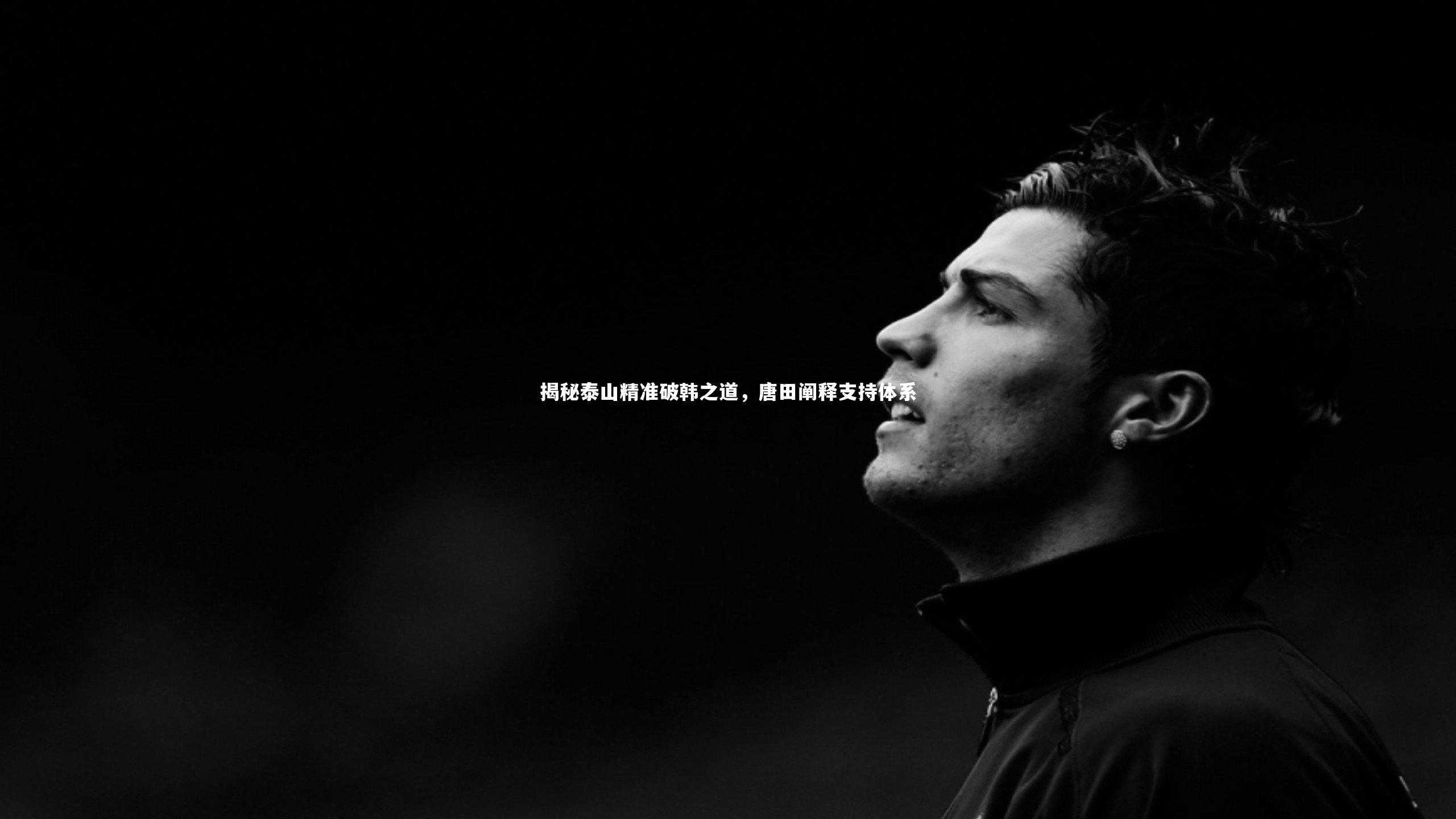 揭秘泰山精准破韩之道,唐田阐释支持体系